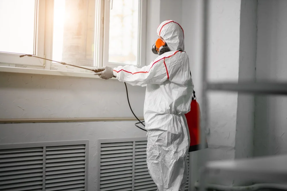 Professional mold remediation services in Eagle, ID